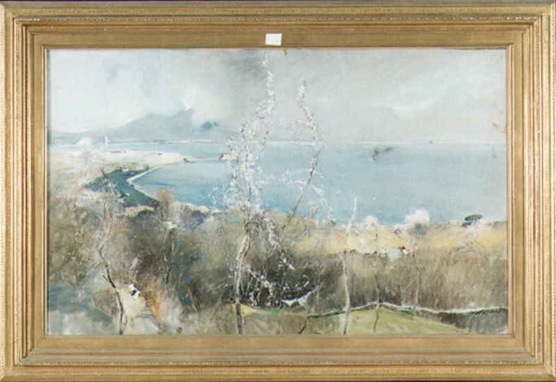 Napoli da Posillipo - Capodimonte